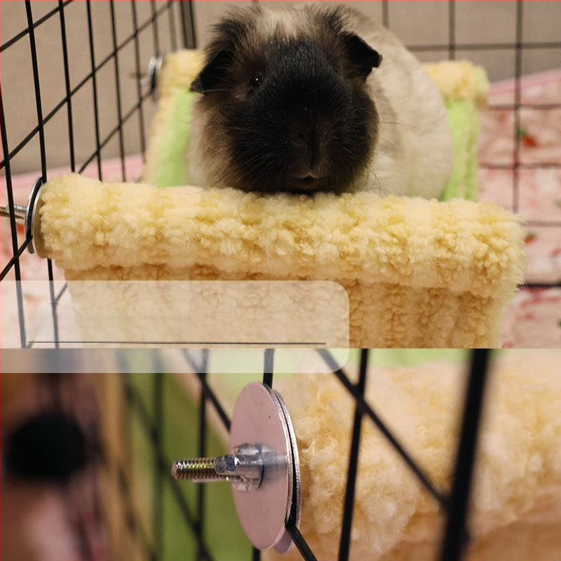 Hamstripesa, hollandi seaküüliku merisea tunnelpesa, põgenemistelgipesa, nelja aastaaja universaalne väikese lemmiklooma kanalipesa, võrkkiik