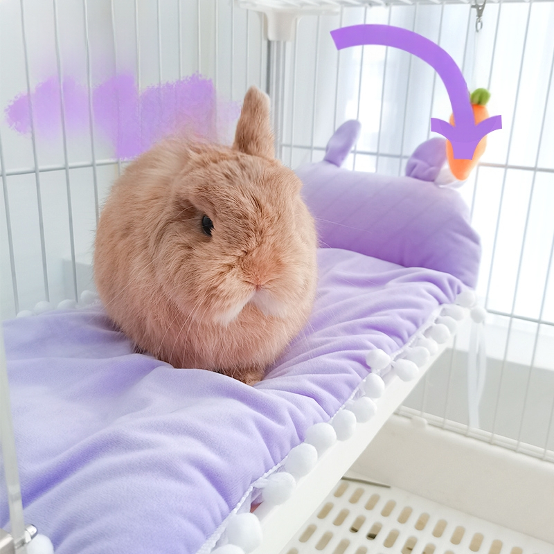 Uus piiriülene porgandi- ja jänesematt talveks, soe jänesematt, hammustusvastane kääbusjänes, tšintšilja, merisiga