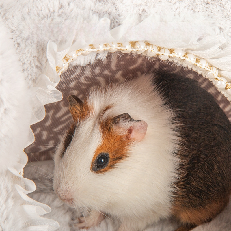 Merisiga Amazoni ventileeritud ja hingav merisiga, siil, küülikupesa, nahasõbralik ja mugav varjualune, küülikukujuline telk