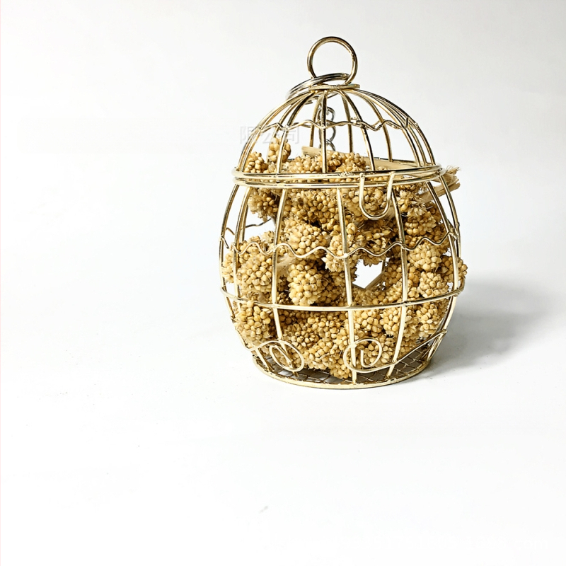 Papagoi mänguasi, linnumänguasi, närimismänguasi, jänese toiduotsingu mänguasi, puuviljakorvi toiduotsingu mänguasi, harjatud mänguasi 60g