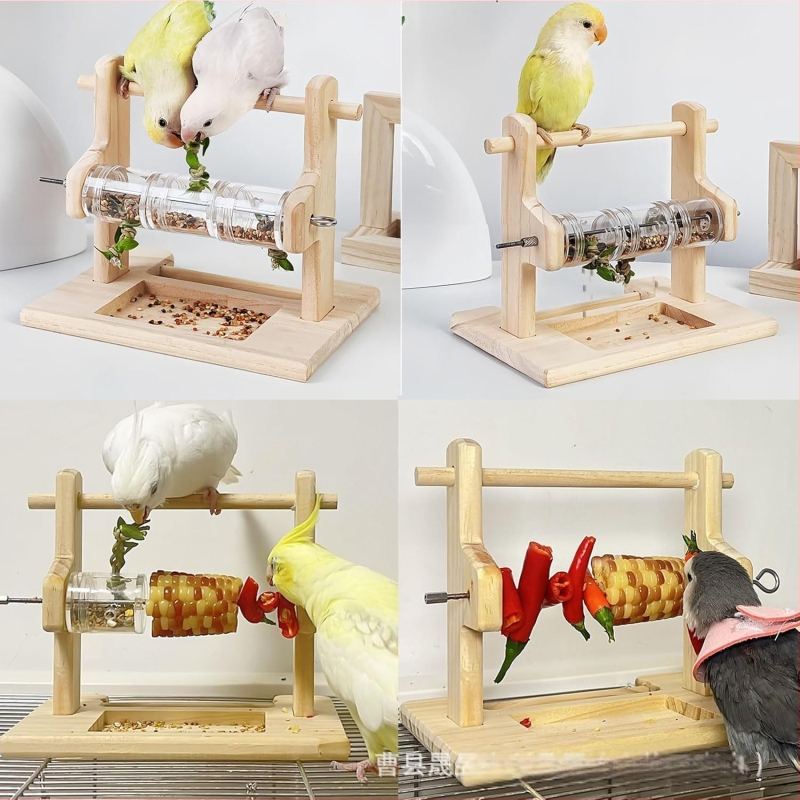 Papagoi täispuidust söödajaama riiul, küüniste jahvatamine, noka hammustusekindel jaamavarras, akrüülist läbipaistev toidukarp, lõbus papagoi mänguasi