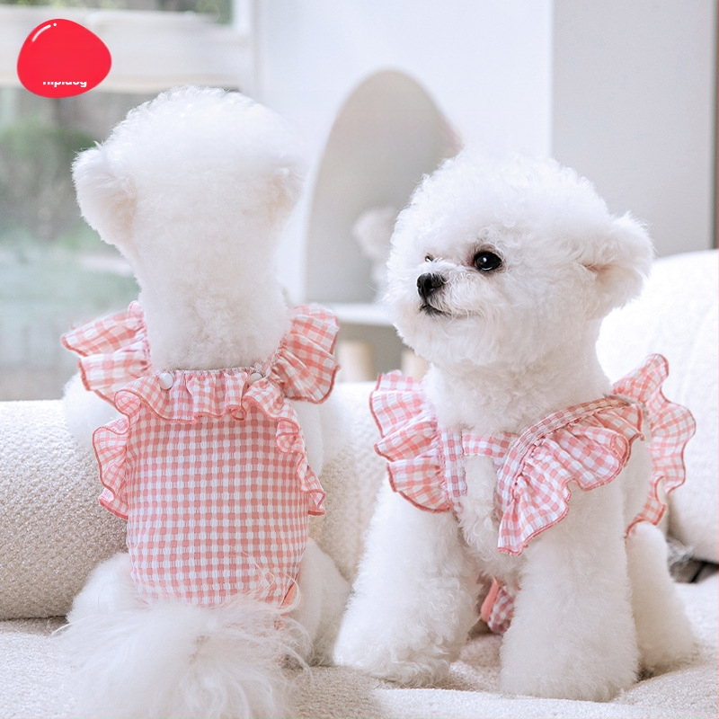 Κοιλιά με δαντέλα για μύκητες, παντελόνι για σκύλους κατά της παρενόχλησης, πάνα, ρούχα για κατοικίδια, για γυναίκες,