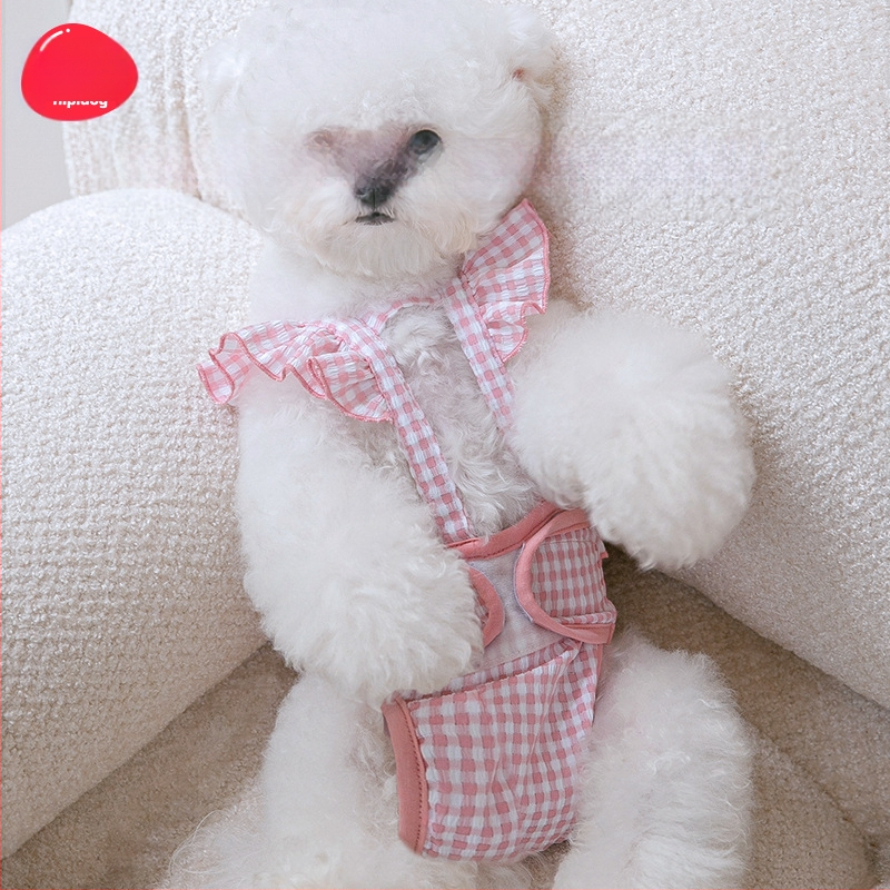 Κοιλιά με δαντέλα για μύκητες, παντελόνι για σκύλους κατά της παρενόχλησης, πάνα, ρούχα για κατοικίδια, για γυναίκες,