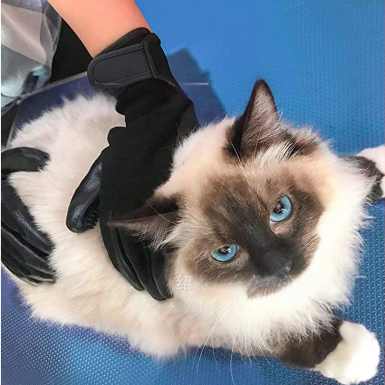 Lemmikloomade suplemis- ja massaažikindad, rullitud kassikindad, rullitud koerakindad, loomade kammimise ja karvaeemaldusvahendid, puhastamise ja ujumiskindad