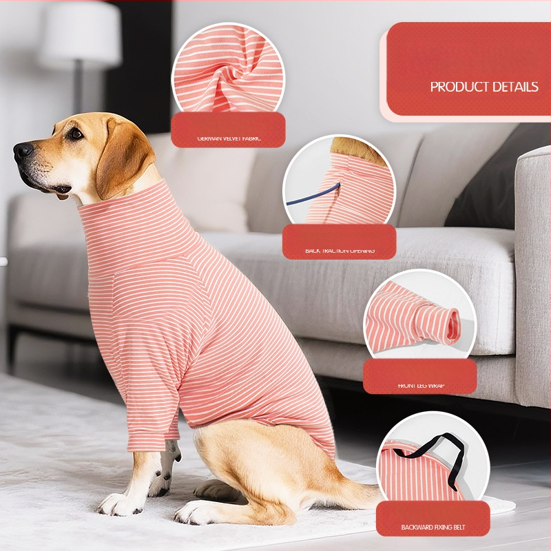 Amazon 2025. aasta mao uued koerariided, talveriided, kõrge kraega jalad, soojad suurte koerte riided, laos olemas.