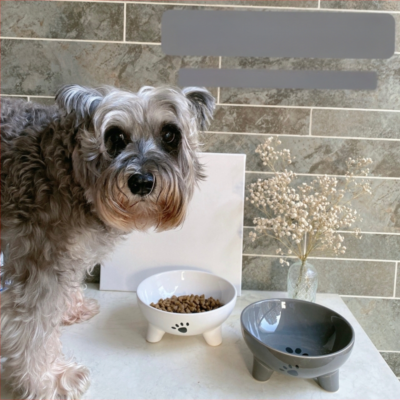 Kerámia macskatál kutyamosó nagy átmérőjű kopogásgátló kutyatál kisállat itatótál macska rizstál kisállat kellékek nagykereskedelem