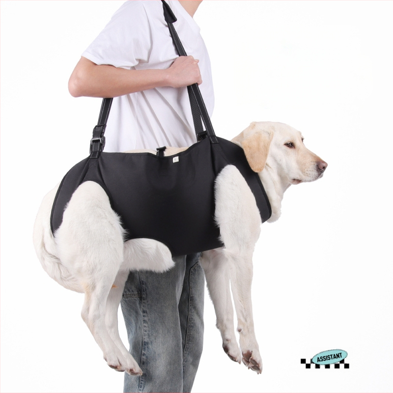 Amazoni uus lemmikloomade abivöö eakatele koertele, puuetega koertele, rehabilitatsioonireisidele, rindkere ja selja reguleeritava veojõuköie hulgimüügile