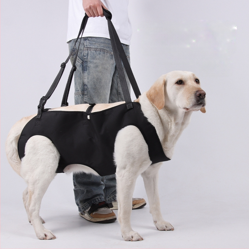 Amazoni uus lemmikloomade abivöö eakatele koertele, puuetega koertele, rehabilitatsioonireisidele, rindkere ja selja reguleeritava veojõuköie hulgimüügile