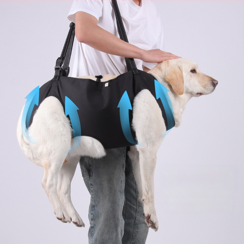 Amazoni uus lemmikloomade abivöö eakatele koertele, puuetega koertele, rehabilitatsioonireisidele, rindkere ja selja reguleeritava veojõuköie hulgimüügile