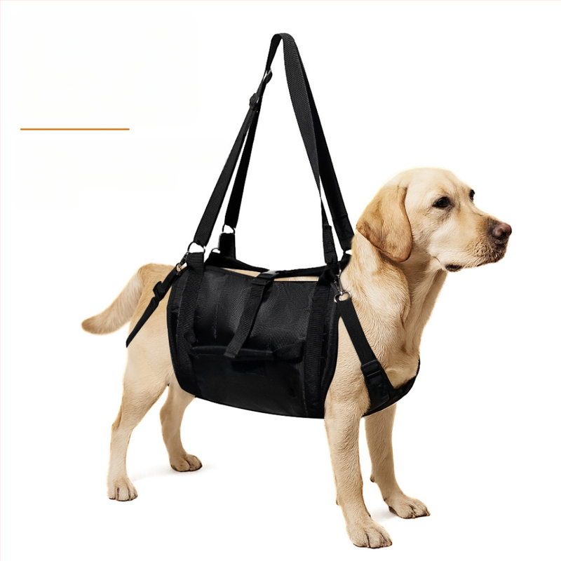 Piiriülene Amazoni koerte jalutusabivahend koos koera seljakotiga, lemmiklooma jala tugivöö, taastusravi vöö, koeratõstuk