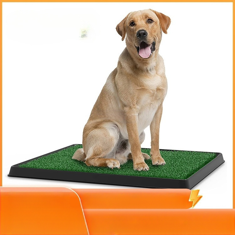 „CrossBorder Golden Pet Lawn“ tualeto kilimėlis, skirtas naudoti patalpose, žolės šunims, pakeičiamas šlapimo kilimėlis, atsparus vandeniui, plaunamas šunų šlapimo kilimėlis