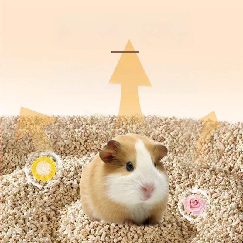 Hamsteripesa 2025. aasta suvine uus mudel Kuldse Karu jahutusmaja Jahutav keraamiline jäätunne Lihtne puhastada Ümarad nurgad Lemmikloomadele pole muhke