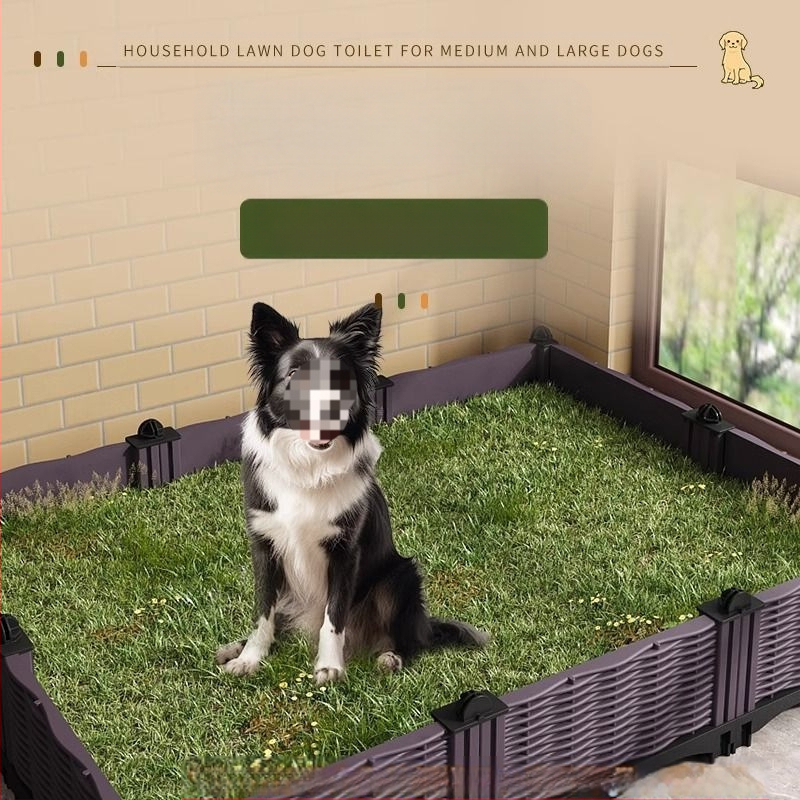 Šunų tualetas dideliems šunims, vidutinio dydžio patinų pisuaras, borderkolio auksaspalvis retriveris, fiksuoto taško tualetas tuštinimuisi