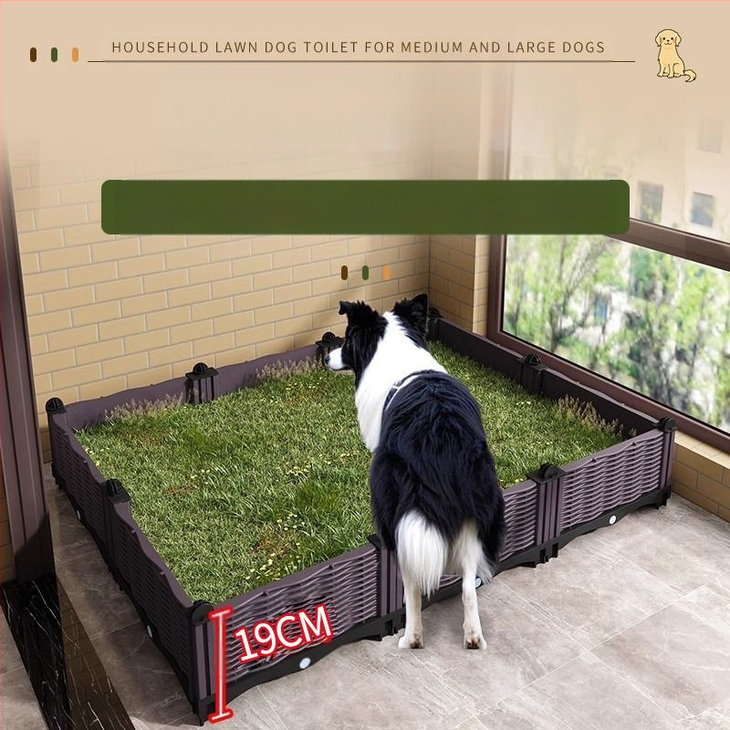 Šunų tualetas dideliems šunims, vidutinio dydžio patinų pisuaras, borderkolio auksaspalvis retriveris, fiksuoto taško tualetas tuštinimuisi