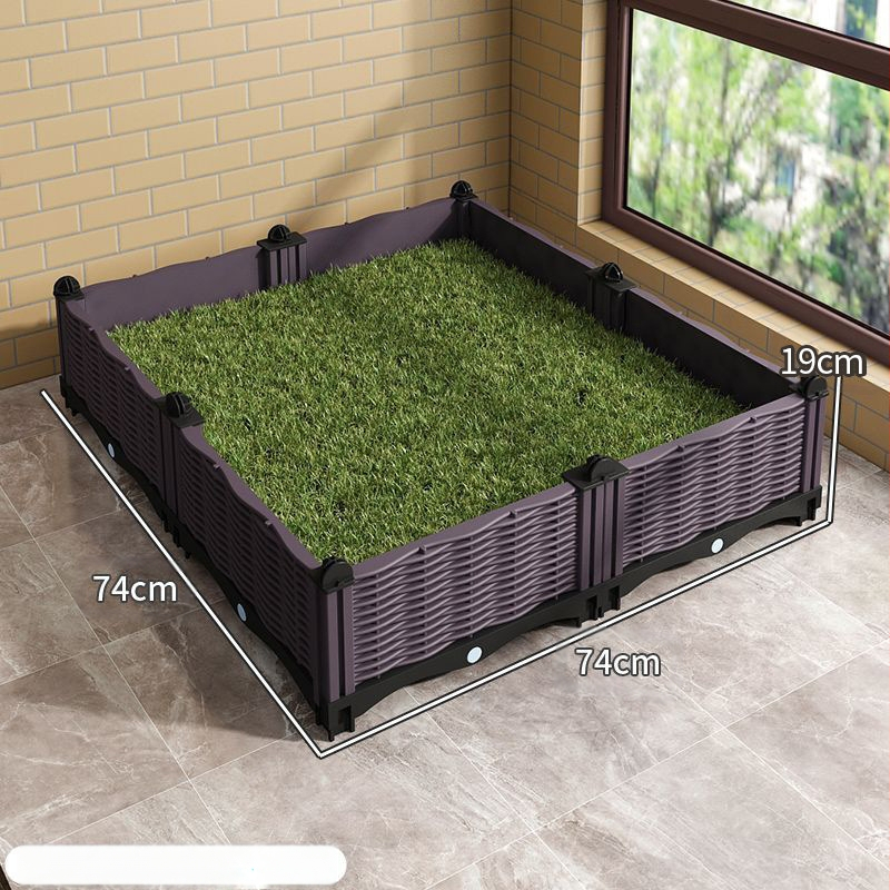 Šunų tualetas dideliems šunims, vidutinio dydžio patinų pisuaras, borderkolio auksaspalvis retriveris, fiksuoto taško tualetas tuštinimuisi