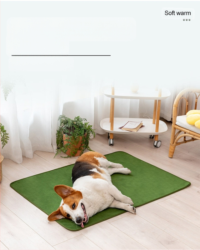 Amazon eladó csúszásmentes szőnyeg kisállatoknak nagy kutyaketreces szőnyeg vizeletálló vízálló korallgyapjú alvószőnyeg mosható