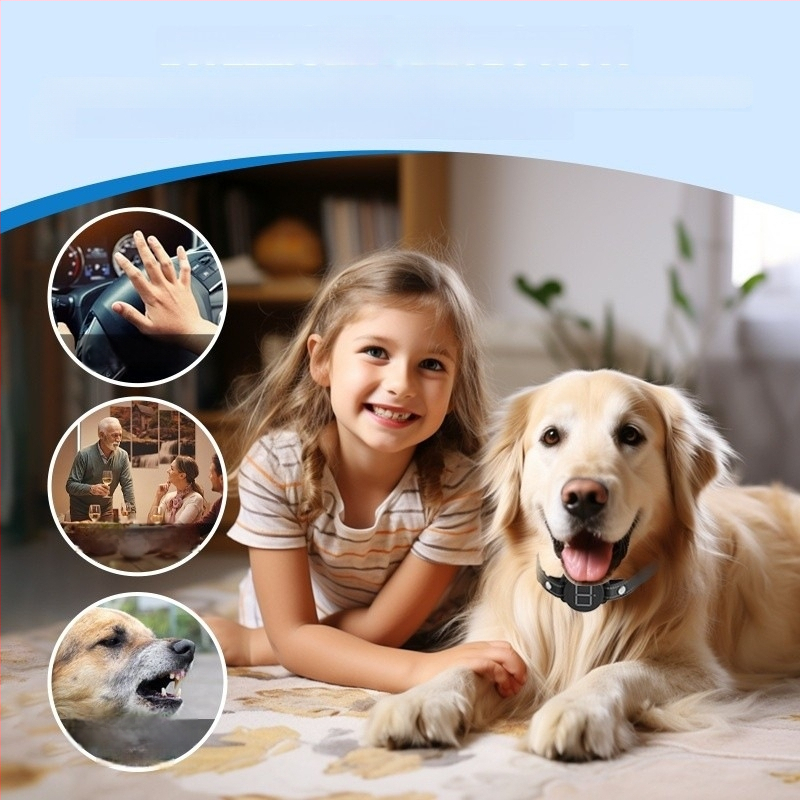 Piiriülene uus toode lemmikloomade haukumisvastane seade koeratreeningseade haukumisvastane kaelarihm automaatne haukumisvastane koer puldiga elektrilöögi vibratsiooniheli