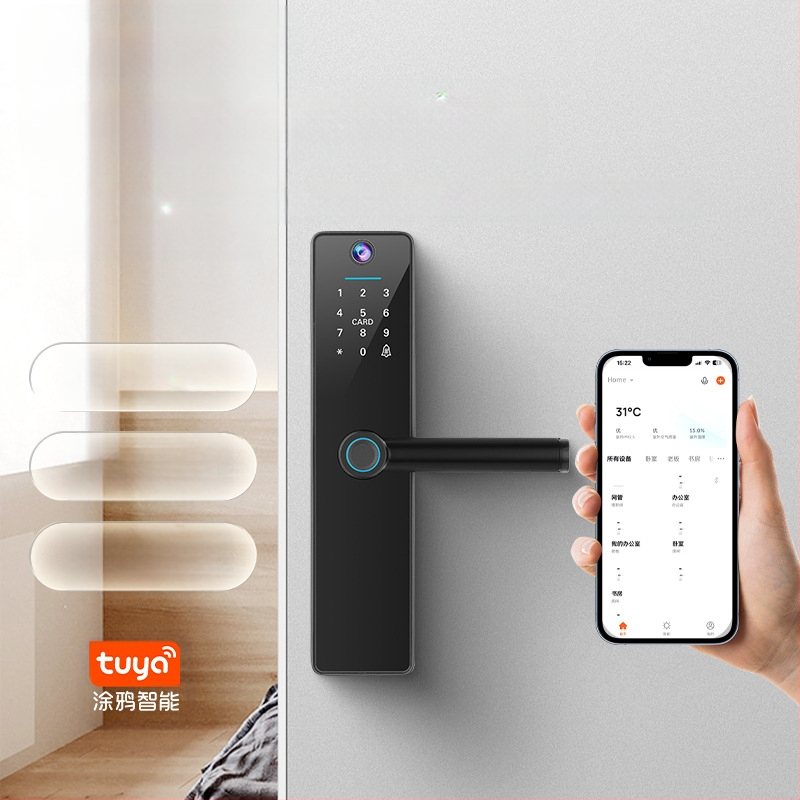 Grafiti kaķa acs pirkstu nospiedumu slēdzene attālinātai istabai koka durvju swipe karte viedā slēdzene biroja guļamistaba pārrobežu jauna modeļa īres māja