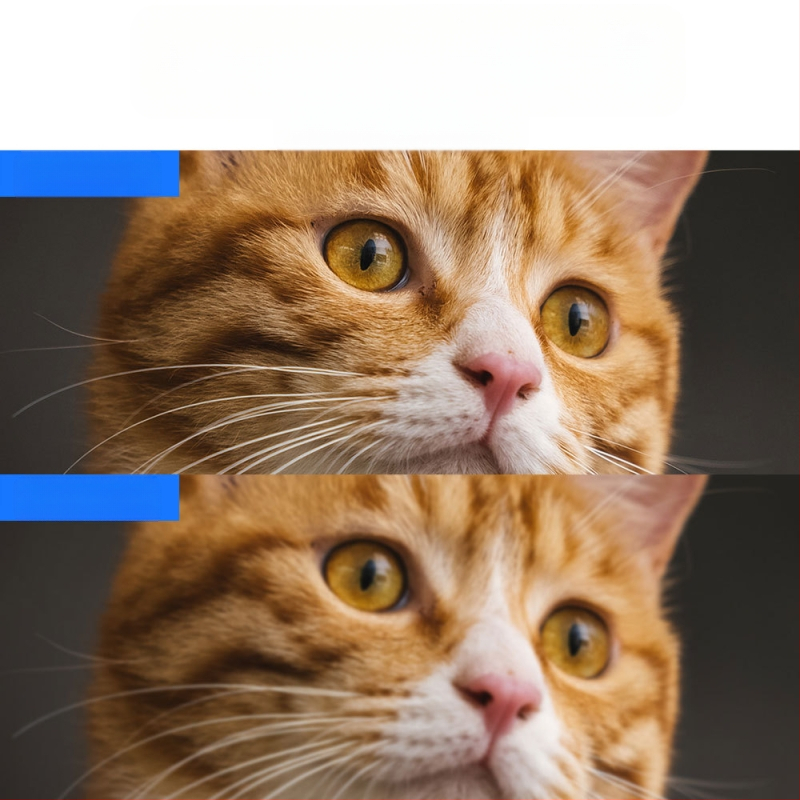 Piiriülene populaarne mobiiltelefoni nutikas kaugvalvekaamera siseruumides kasutatav lambipirni tüüp kõrglahutusega traadita monitorkaamera