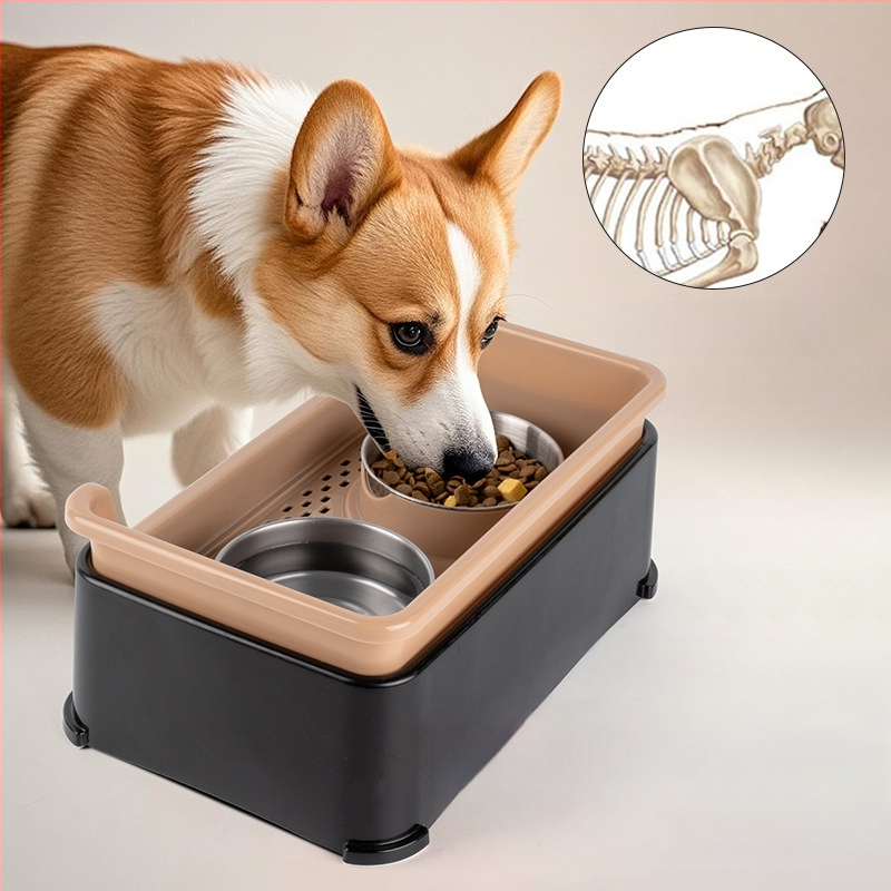 Roostevabast terasest topeltkaussiga koerakauss, eemaldatav, libisemiskindel, kuiva ja märja eraldamisega, kaelalülide kaitsmiseks. Lemmikloomakauss.