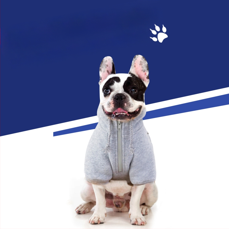 Kisállatruhák új őszi és téli polár cipzáras malátacsíkkal, kalappal, kétlábú pulóverrel, kutyaruha