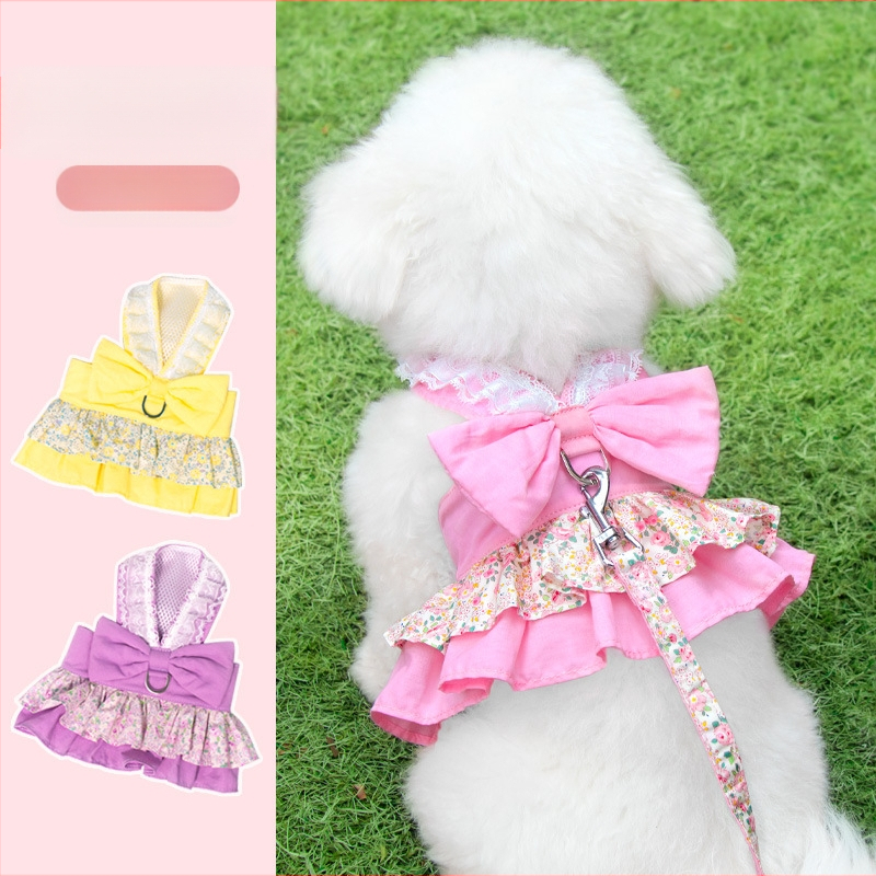 Kassirihm, purunemisvastane spetsiaalne kassirihm, väikese koera rinnarihm, köis, kõndimiskassirihm, lemmikloomarihm, kõndimiskoer