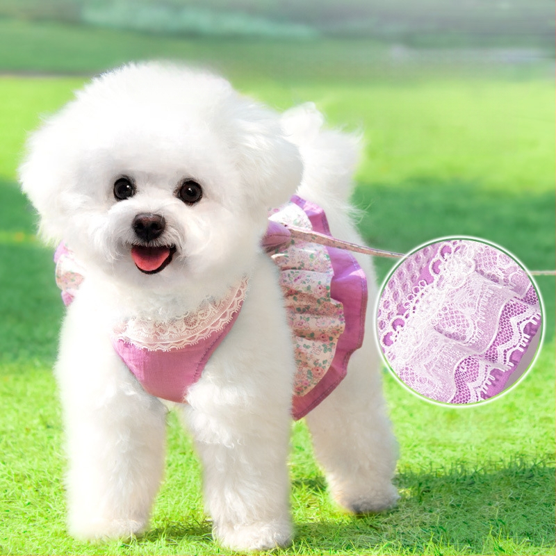 Kassirihm, purunemisvastane spetsiaalne kassirihm, väikese koera rinnarihm, köis, kõndimiskassirihm, lemmikloomarihm, kõndimiskoer