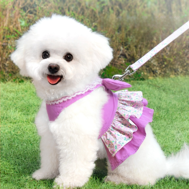 Kassirihm, purunemisvastane spetsiaalne kassirihm, väikese koera rinnarihm, köis, kõndimiskassirihm, lemmikloomarihm, kõndimiskoer