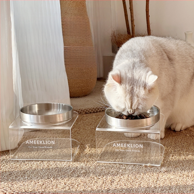 Roostevabast terasest kassikauss, kõrge jalaga, akrüülist tõstetud riiul, kaitseb kaelalülisid, koerakauss, suure läbimõõduga koeraveekauss, toidukauss lemmikloomadele