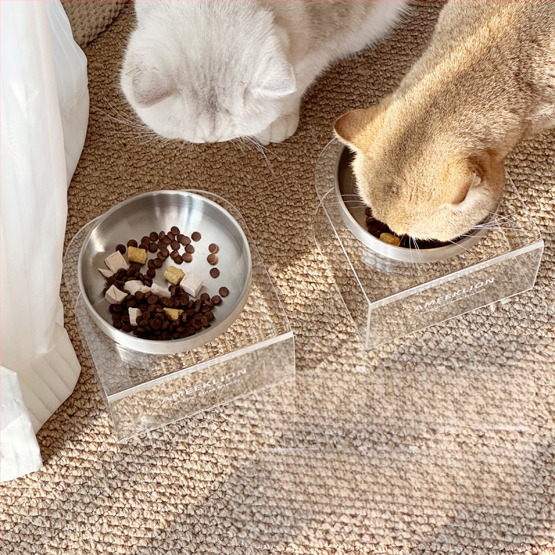 Roostevabast terasest kassikauss, kõrge jalaga, akrüülist tõstetud riiul, kaitseb kaelalülisid, koerakauss, suure läbimõõduga koeraveekauss, toidukauss lemmikloomadele