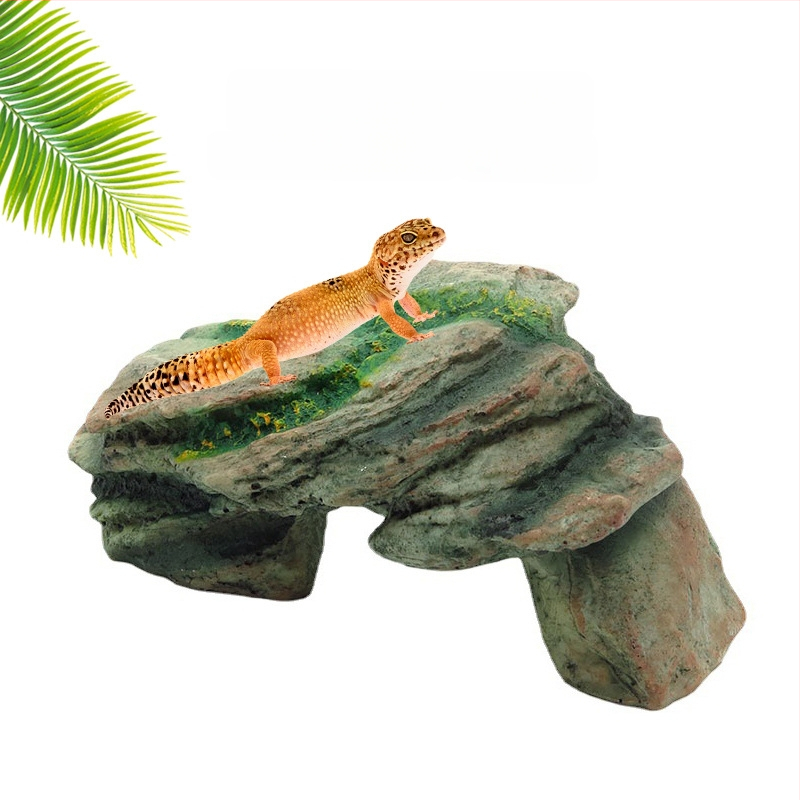 Roomaja Lemmikloom Peitumine Madu Geko Sisalik Ämblikukoobas Simuleeritud kaljuhaljastus Roomaja sulgimine Paljunemiskast Puuauk Päikeseterrass