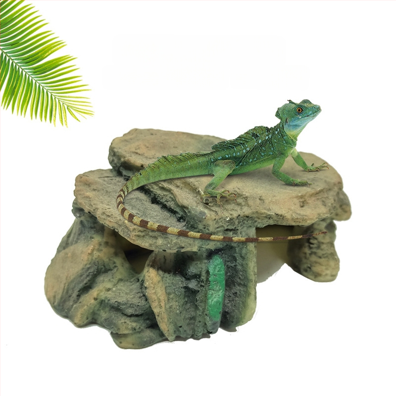 Roomaja Lemmikloom Peitumine Madu Geko Sisalik Ämblikukoobas Simuleeritud kaljuhaljastus Roomaja sulgimine Paljunemiskast Puuauk Päikeseterrass