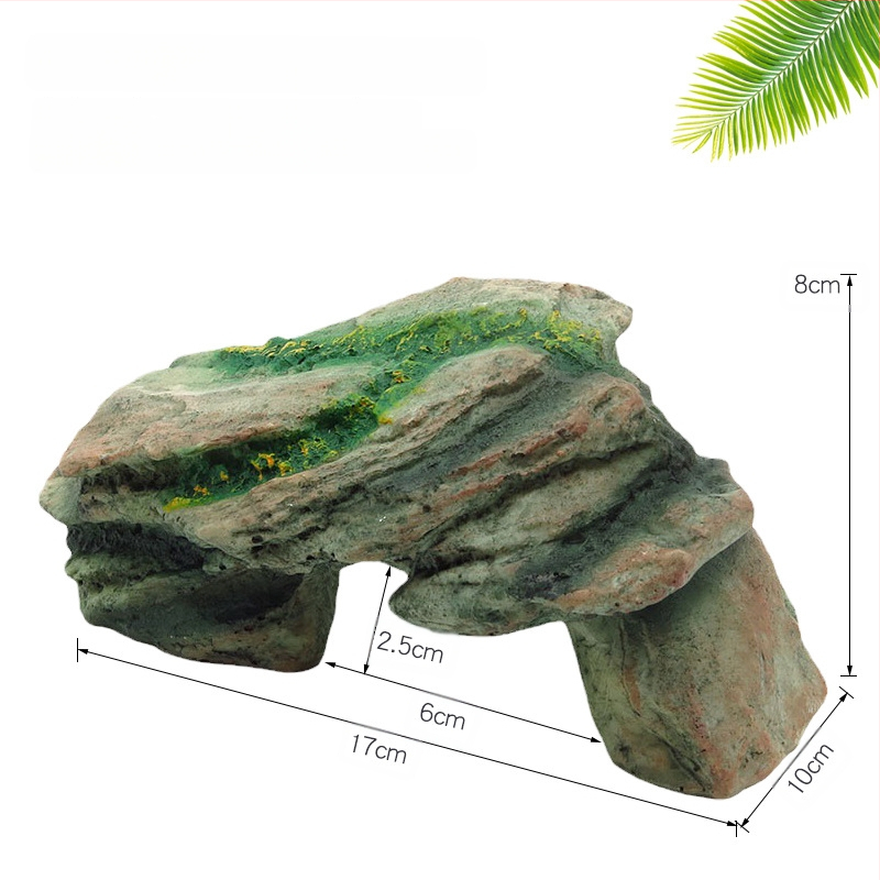 Roomaja Lemmikloom Peitumine Madu Geko Sisalik Ämblikukoobas Simuleeritud kaljuhaljastus Roomaja sulgimine Paljunemiskast Puuauk Päikeseterrass