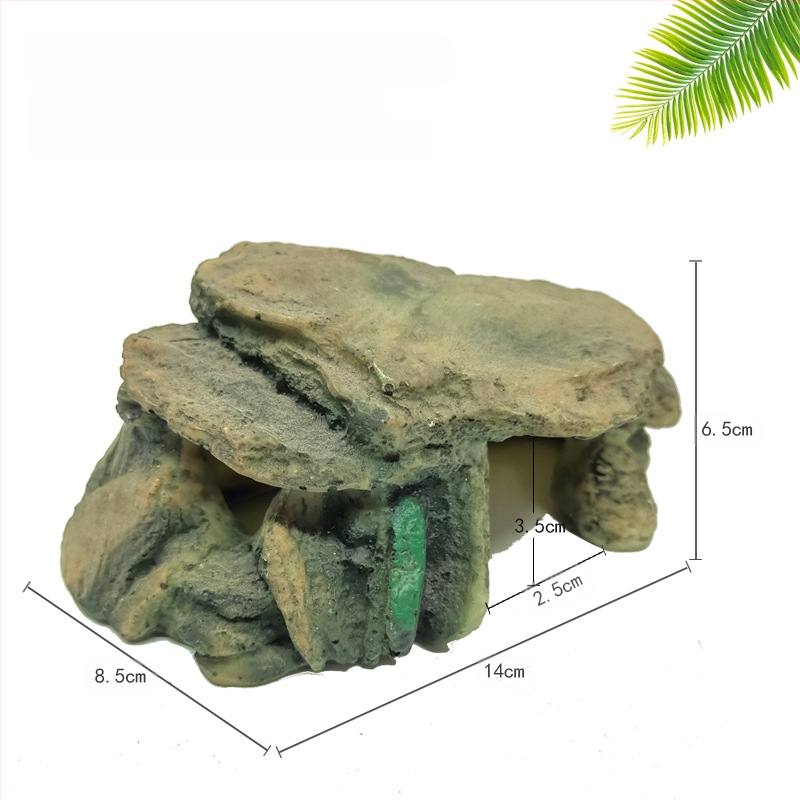 Roomaja Lemmikloom Peitumine Madu Geko Sisalik Ämblikukoobas Simuleeritud kaljuhaljastus Roomaja sulgimine Paljunemiskast Puuauk Päikeseterrass