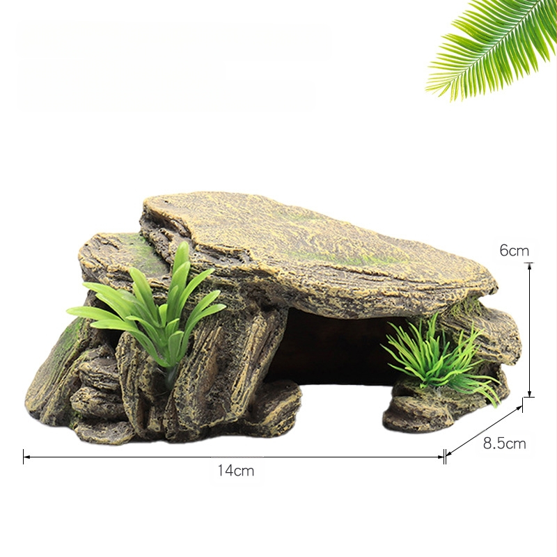 Roomaja Lemmikloom Peitumine Madu Geko Sisalik Ämblikukoobas Simuleeritud kaljuhaljastus Roomaja sulgimine Paljunemiskast Puuauk Päikeseterrass