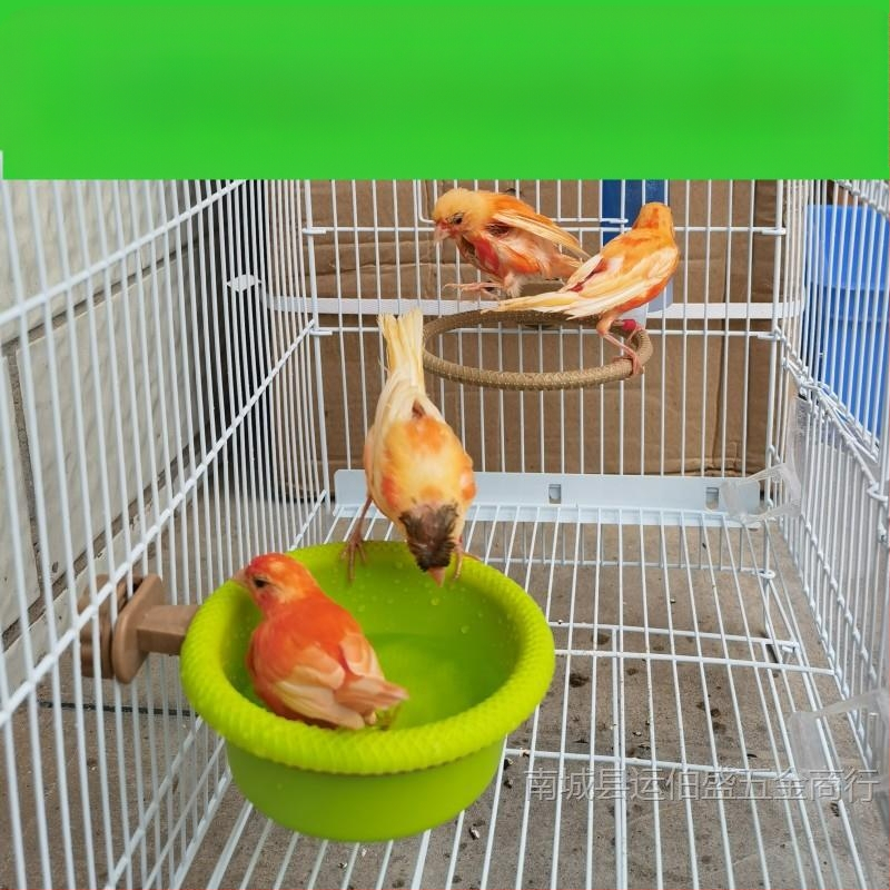 Леген за вана за птици, вана, нефритена птица, хибискус, птица, златисто зелено, сиво, Ян, голям златен конопен материал, божур, папагалче