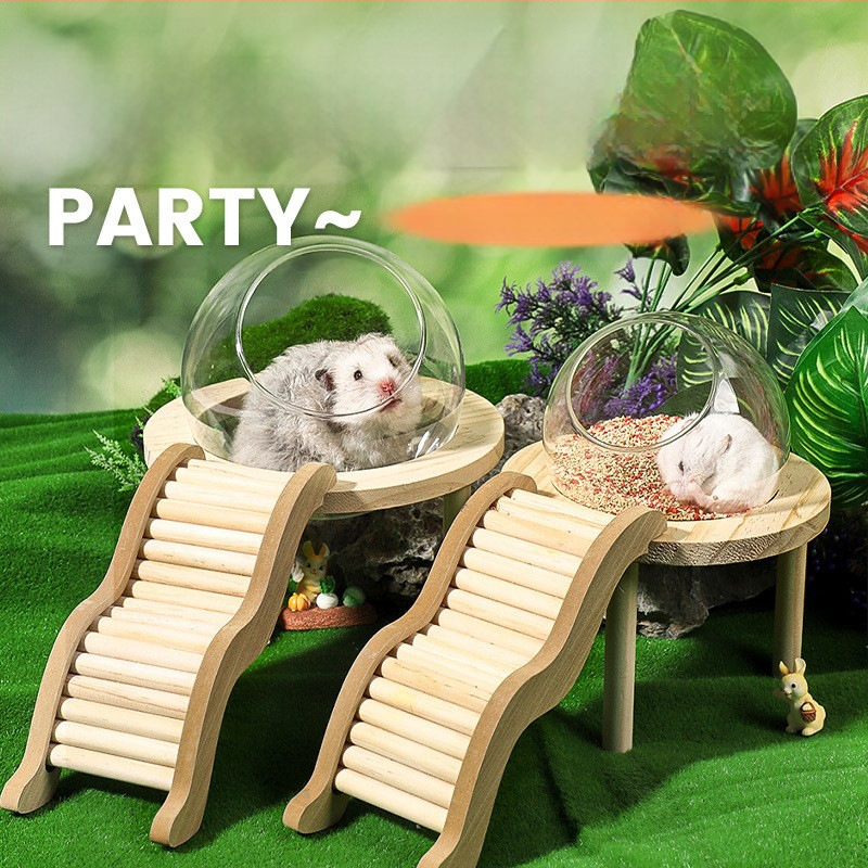 Žiurkėno vonios kambario erdvės kapsulė Vonios kambarys Tualetas Dvigubo naudojimo Auksinio lokio maudymosi vonios kūnas Šlapimas Smėlis Vonios smėlis Apsauga nuo taškymosi