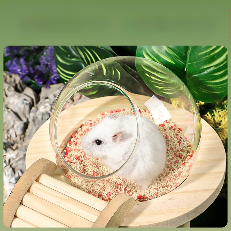 Žiurkėno vonios kambario erdvės kapsulė Vonios kambarys Tualetas Dvigubo naudojimo Auksinio lokio maudymosi vonios kūnas Šlapimas Smėlis Vonios smėlis Apsauga nuo taškymosi