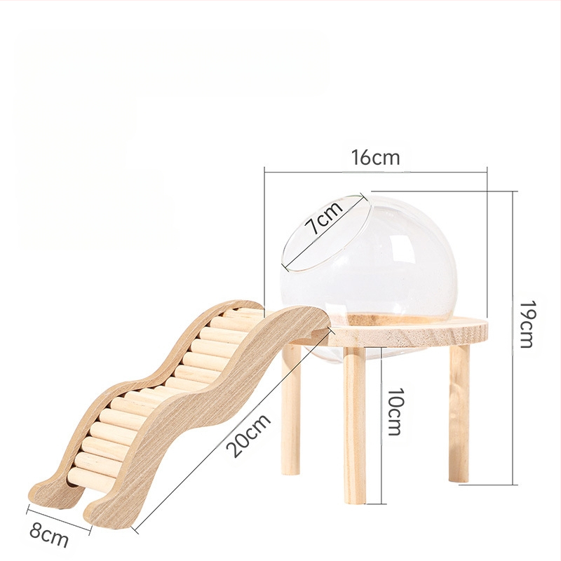 Žiurkėno vonios kambario erdvės kapsulė Vonios kambarys Tualetas Dvigubo naudojimo Auksinio lokio maudymosi vonios kūnas Šlapimas Smėlis Vonios smėlis Apsauga nuo taškymosi