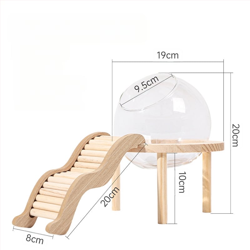 Žiurkėno vonios kambario erdvės kapsulė Vonios kambarys Tualetas Dvigubo naudojimo Auksinio lokio maudymosi vonios kūnas Šlapimas Smėlis Vonios smėlis Apsauga nuo taškymosi