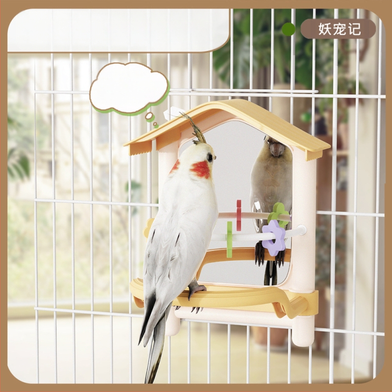 Suur papagoi peegelkaunistusega ripppuur viirpapagoidele, armulindudele, kakaduudele ja väikestele lindudele