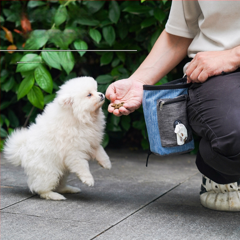 Lemmikloomatarvete vöökott Lemmikloomade treeningkott Õuesuupistete kott Kassi ja koera õuetarbed Multifunktsionaalne väljasõidutreeningu vöökott
