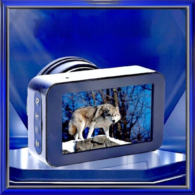 Elektrooniline okulaar Linnuvaatlus Video Kõrglahutusega infrapuna Öönägemine Astronoomiline monokkel Täisvärviline öönägemine Monokkel Teleskoop Öine kalapüük