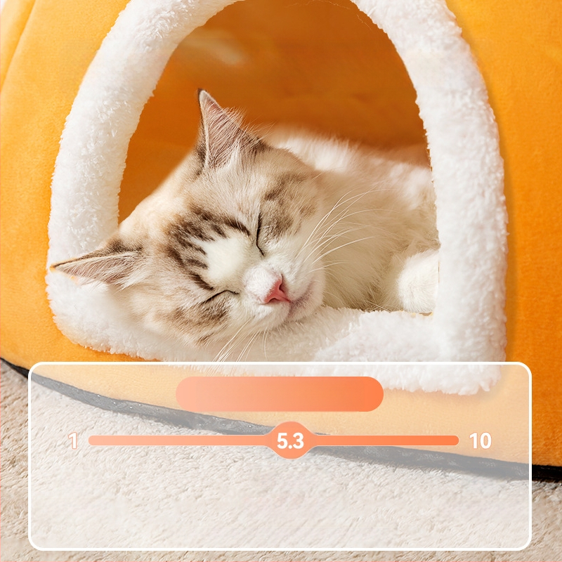 Kassipesa talvine soe mitme kassi perele suletud kassipesa kassivoodi neli aastaaega Universaalne internet kuulsuste kassimaja lemmikloomatarbed