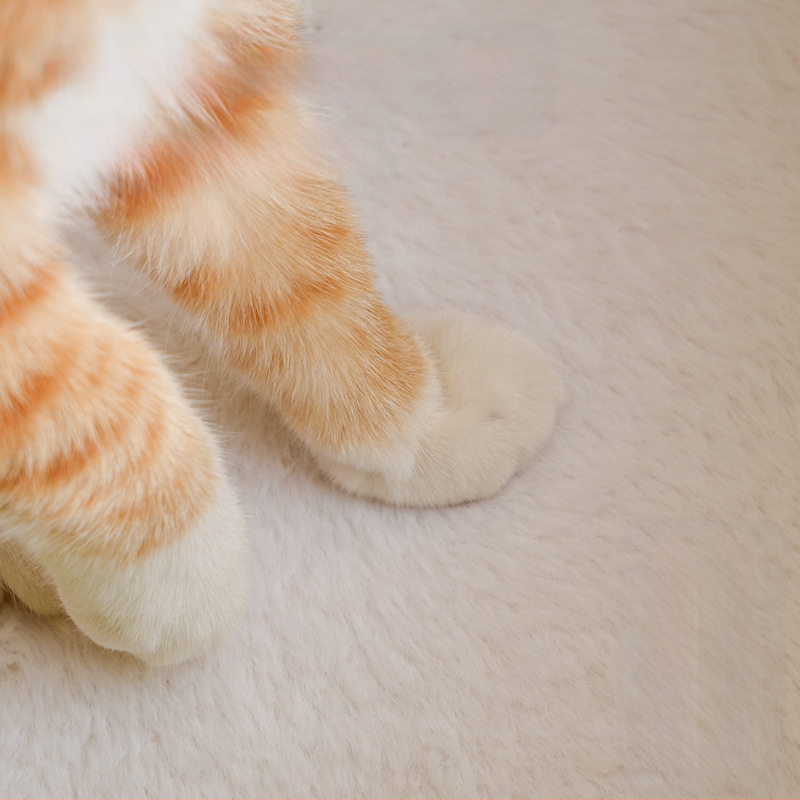 Interneti kuulsuste ohutu poti kate kassimajas koerakuudis pehme ja mugav talvine soe suletud turvaline kassipesa lemmikloomatarbed