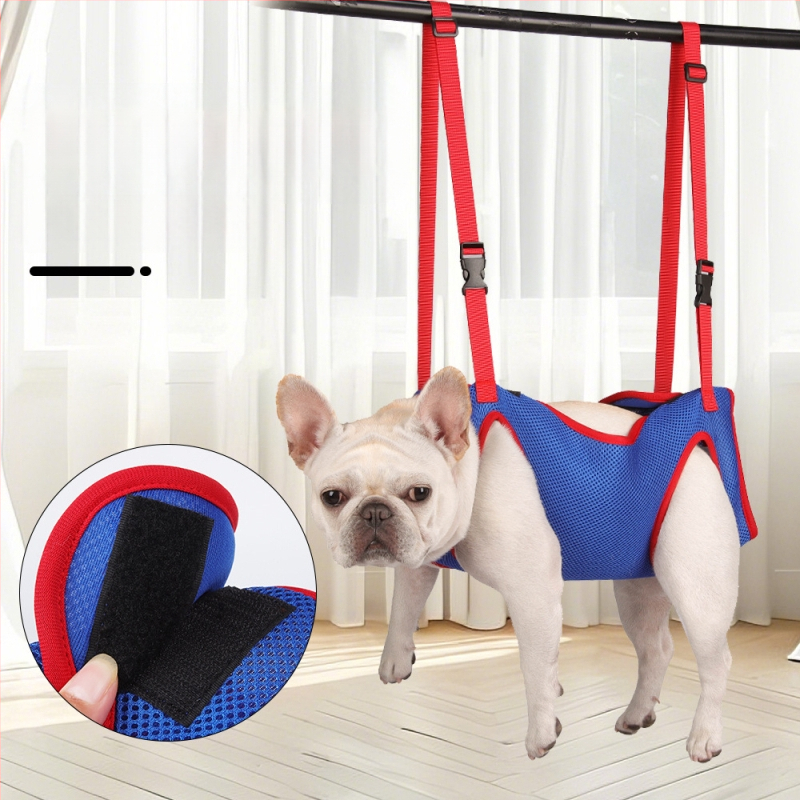 Uus lemmikloomade rehabilitatsiooni rindkere-seljavest koera abivöö kaasaskantav koeratõmb, kassi koera riputuskott hulgimüük