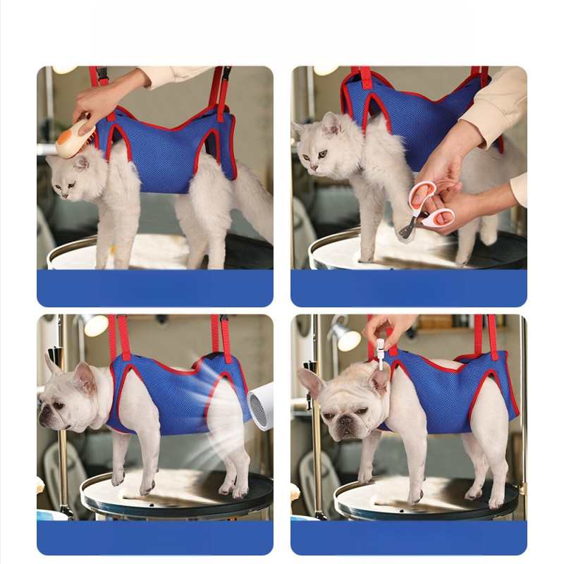 Uus lemmikloomade rehabilitatsiooni rindkere-seljavest koera abivöö kaasaskantav koeratõmb, kassi koera riputuskott hulgimüük