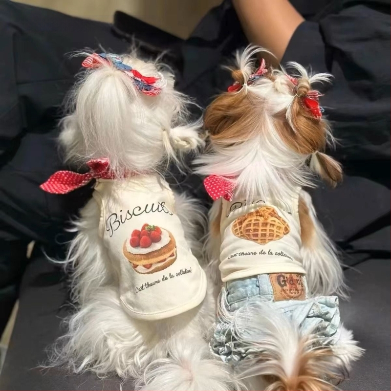 Koerariided Lemmiklooma Malta terjeri vest Karu Teddy Cowboy Kass Suvine õhuke kevad- ja suvevest Madruse kaelarihm