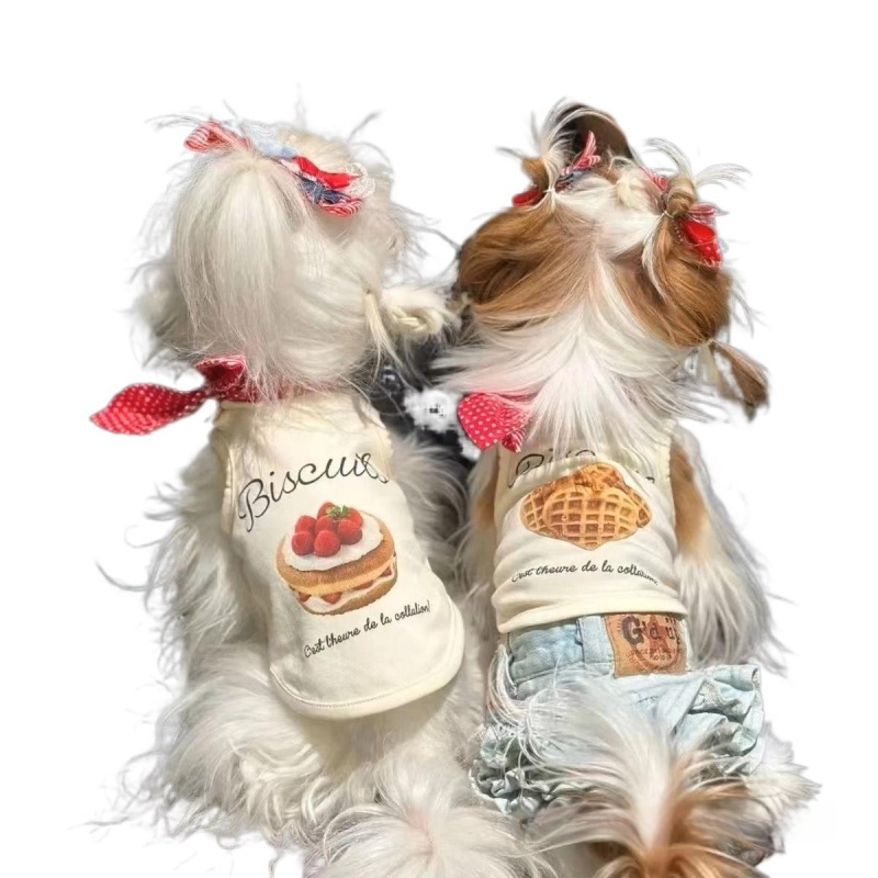 Koerariided Lemmiklooma Malta terjeri vest Karu Teddy Cowboy Kass Suvine õhuke kevad- ja suvevest Madruse kaelarihm