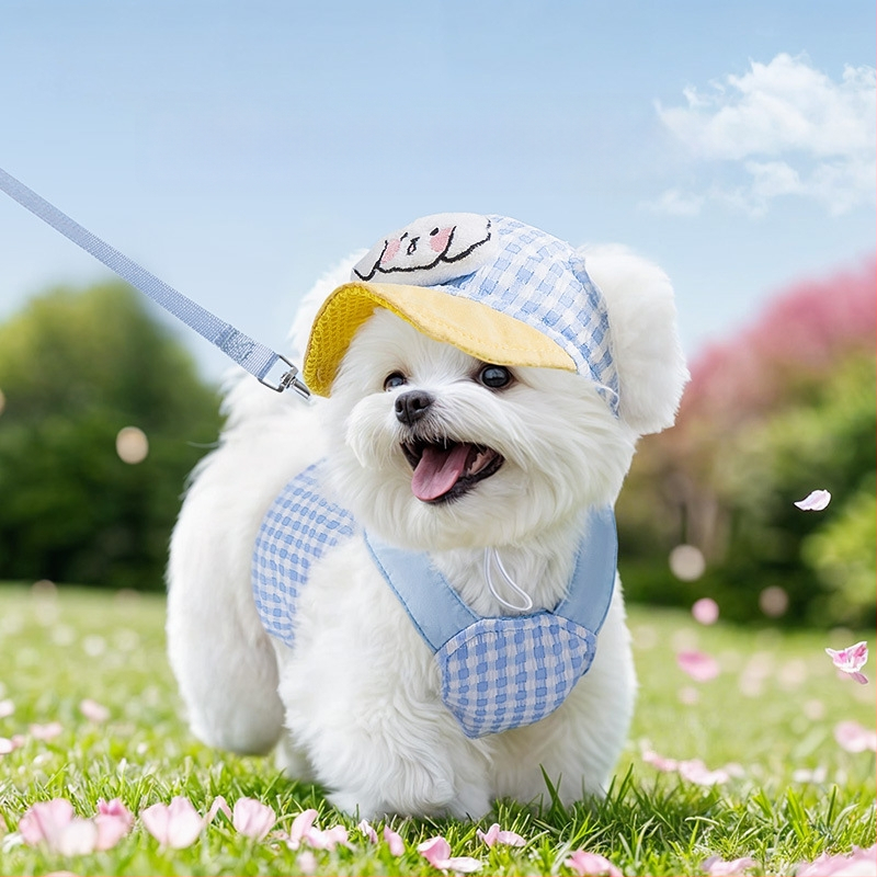 Шапка за домашни любимци куче и котка, пролетно-лятна, за излизане, засенчваща слънце, противоиздърпваща шапка, противооросяваща, регулируема шапка с катарама за уши